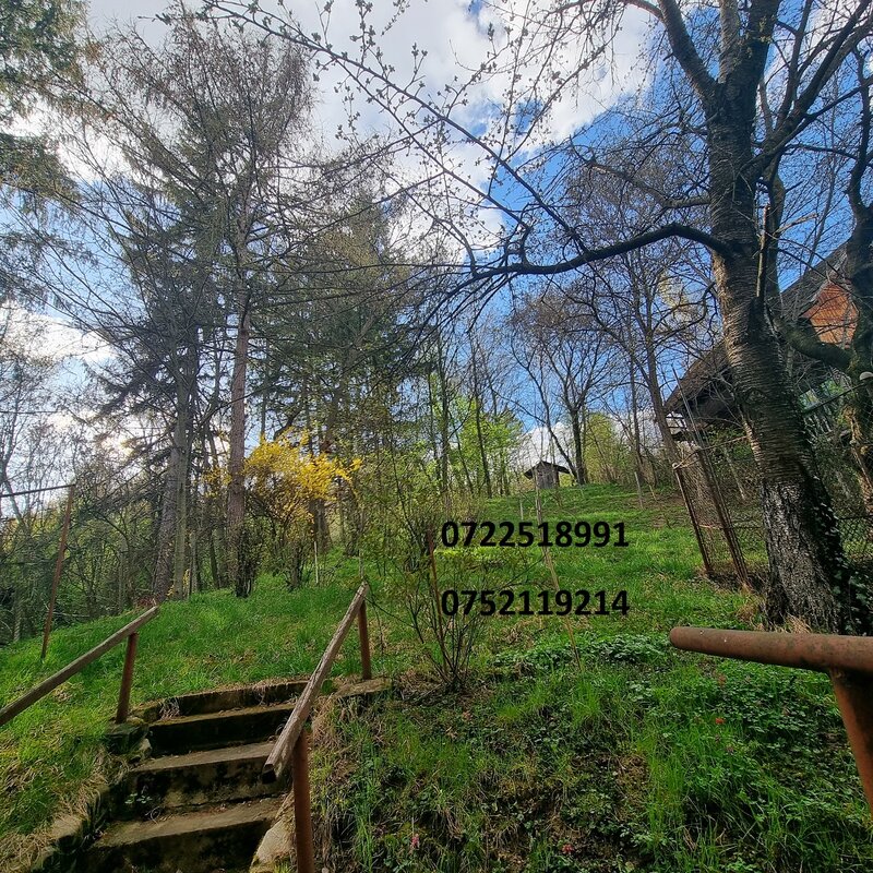 Campulung Muscel, Arges, inchiriere vila superba, la munte,