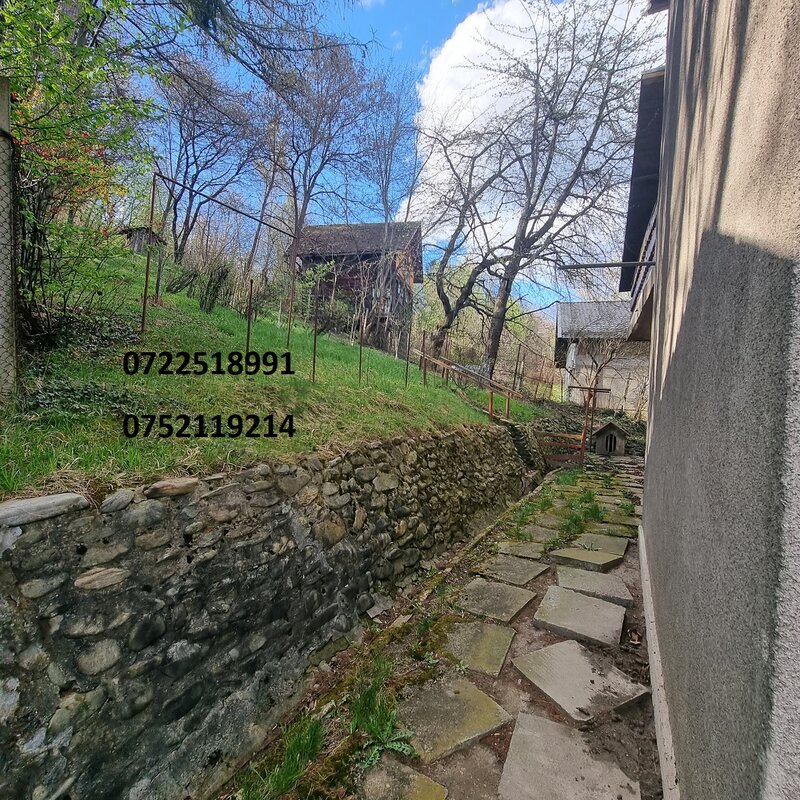 Campulung Muscel, Arges, inchiriere vila superba, la munte,